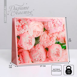 Цена за 2 шт. Пакет подарочный ламинированный, упаковка, For you, ML 27×23×11.5 см