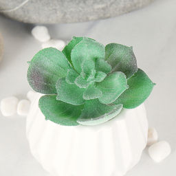 Суккулент искусственный 5,5х6,5 см / GN112 /уп 100/ - Галеонтрейд фото 4