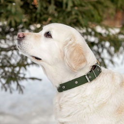 Ошейник брезентовый однослойный, 66 х 3 см, ОШ 33-60 см, тёмно-зелёный - Пижон фото 5