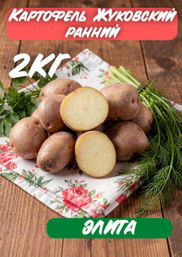 Картофель Жуковский ранний (элита) / Россия/ 2 кг.