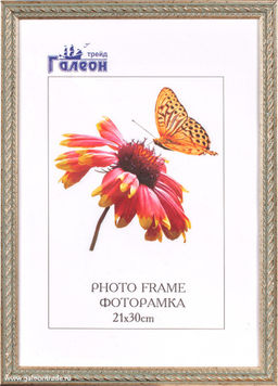 Фоторамка 21х30 / 1606C-86R /уп10