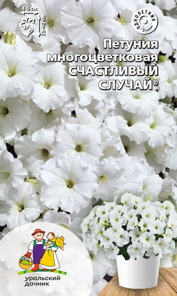 Петуния СЧАСТЛИВЫЙ СЛУЧАЙ