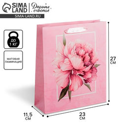 Цена за 2 шт. Пакет подарочный ламинированный, упаковка, «Пион», ML 23 х 27 х 11.5 см