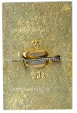 Значок Суздаль