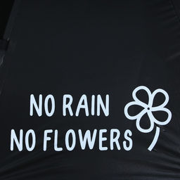 Зонт-трость NO RAIN - NO FLOWERS, 8 спиц, d = 90 см, цвет чёрный - Simaland фото 4