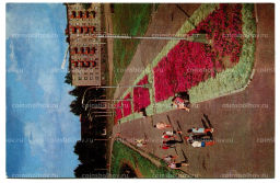 Открытка Великие Луки. Набережная реки Ловати