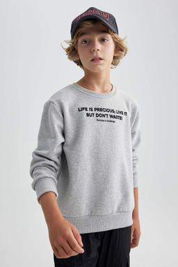 Плотный свитшот для мальчиков с круглым вырезом - Defacto фото 3