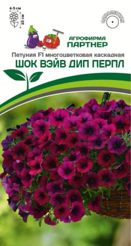 Петуния Шок Вэйв Дип Перпл многоцветковая каскадная - Партнер фото 2
