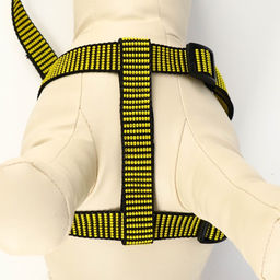 Комплект амуниции рельефный, поводок 120 х 2 см, ОГ 44-50 см, жёлто-чёрный - Пижон фото 5