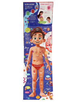 Книга с окошками «Как устроен человек?»