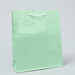 Пакет ламинированный Зелёный, ML 21 х 25 х 8 см