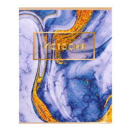 Тетради предметные Calligrata «Мрамор светлый», 10 предметов, 48 листов, со справочным материалом, обложка из мелованного картона