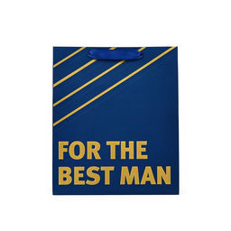 Пакет ламинированный For the best man, ML 23×27×11.5 см