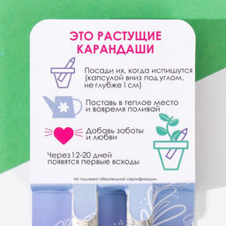 Набор для выращивания, карандаши подарочные «Базилик + Мята», mini, простые чернографитные, 2 шт.