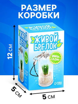 Набор для опыта «Живой брелок», мини-сад, выращивание травы
