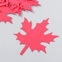 Заготовка из фоамирана «Лист клена», 10.5×9 см, набор 10 шт., красный