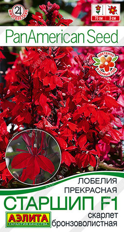 1576A Лобелия Старшип F1 скарлет бронзоволистная 5шт
