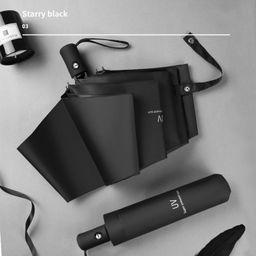 Зонт Umbr-310-Black