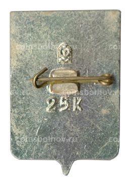 Значок Севастополь