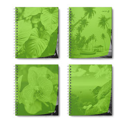 Светоч Т208 Тетрадь общая с пластик. обложкой, ч/б запечат. титульн.лист, 180 мкм., A5 48 л. на гребне 65 г/кв.м , белизна 100 % 4 шт. клетка 01546 Тайны природы, лайм