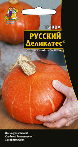 Тыква РУССКИЙ ДЕЛИКАТЕС  Сладкая мякоть с дынно-медовым ароматом!