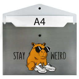 Цена за 2 шт.Папка для школьных тетрадей пластиковая Феникс+, арт. 69303/ 12 ЧУДНАЯ КАПИБАРА