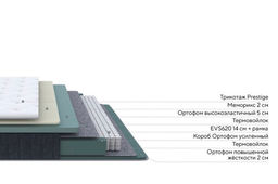 Prestige plus medium
