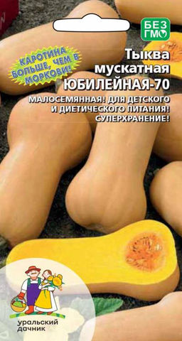 Тыква ЮБИЛЕЙНАЯ-70  Каротина больше чем в моркови! Малосемянная! Для детского и диетического питания! Суперхранение!