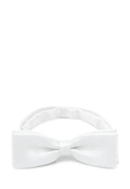 Галстук-бабочка мужской CASINO Casino-poly-wedding 512.1.413