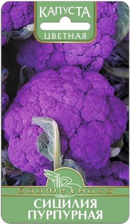 Капуста цветная Сицилия Пурпурная