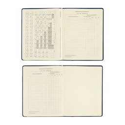 Дневник школьный для 1-11 классов Dark blue, твёрдая обложка, искусственная кожа, резинка, ляссе, 48 листов