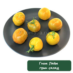 Гном Лайм грин салад