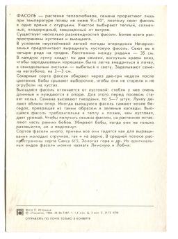 Открытка Фасоль