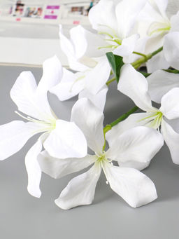 Цветы искусственные «Баухиния пёстрая», d=13 см, h=71 см, белые