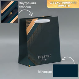 Пакет подарочный ламинированный двухсторонний, упаковка, Present for you, ML 23 х 27 х 11.5 см