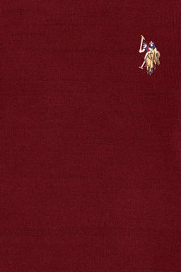 Бордовый трикотажный свитер с круглым вырезом для мальчика - U.s. polo assn фото 3