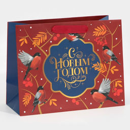 Пакет ламинированный горизонтальный Пора чудес, MS 18 23 10 см