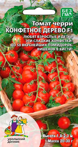 Томат КОНФЕТНОЕ ДЕРЕВО F1 Черри сорт с хлыстовидными кистями! В кисти до 50 сладких плодов!