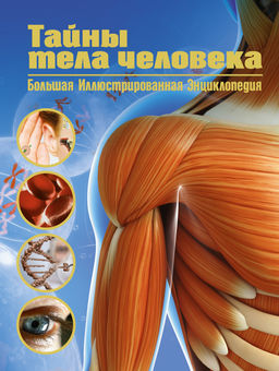 Тайны тела человека. Большая иллюстрированная энциклопедия. Сориано Д.