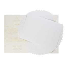 VISTA-ARTISTA PWG-A420 Папка с бумагой для акварели 100% целлюлоза 200 г/м2 A4 30 х 21 см папка 20 л. Лодочки гознак тисненая