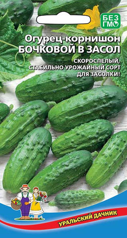 Огурец БОЧКОВОЙ В ЗАСОЛ Скороспелый, стабильно урожайный сорт для засолки!
