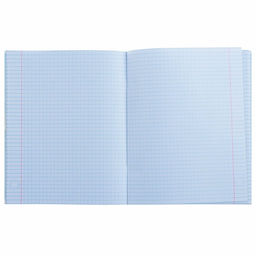 Тетрадь предметная Коллаж, 48 листов в клетку Физика со справочным материалом, обложка мелованный картон, блок офсет - Calligrata фото 2