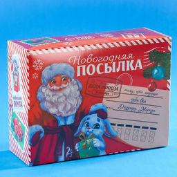 Сладкий детский подарок Новогодняя посылка: конфеты 300 г