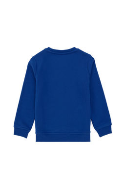 Толстовка Saks Basic для мальчика Неожиданная скидка в корзине - U.s. polo assn фото 9