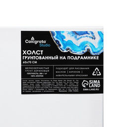 Холст на подрамнике, хлопок 100%, 1.6×60×70 см, акриловый грунт, мелкозернистый, 280 г/м²
