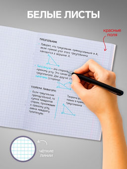 Набор тетрадей, 96 листов в клетку, Calligrata «Фламинго», 4 штук