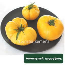 Ананасный поросенок