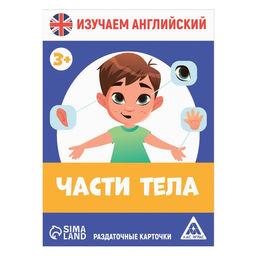Раздаточные карточки Изучаем английский. Части тела, 3+