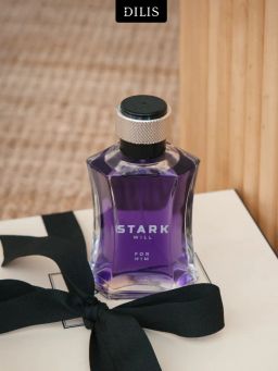 Dilis STARK WILL Туалетная вода для мужчин 100 мл  фото 3