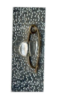 Значок М.Горький 100 лет